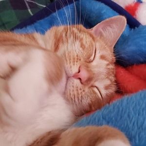 Meet your Posher, Aimee